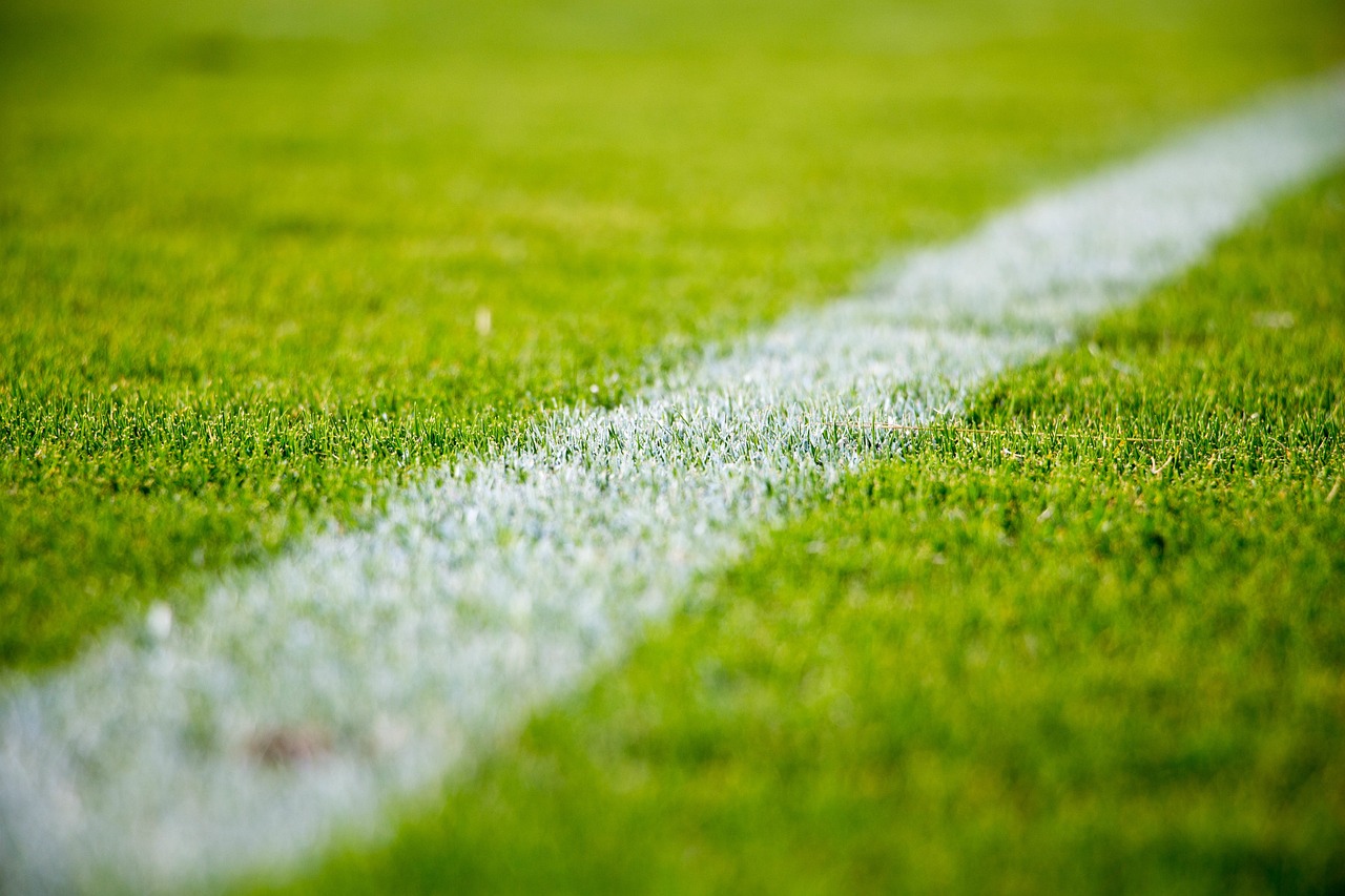 grass, lawn, field, sports, soccer, football, green grass, green football, green sports, nature, green field