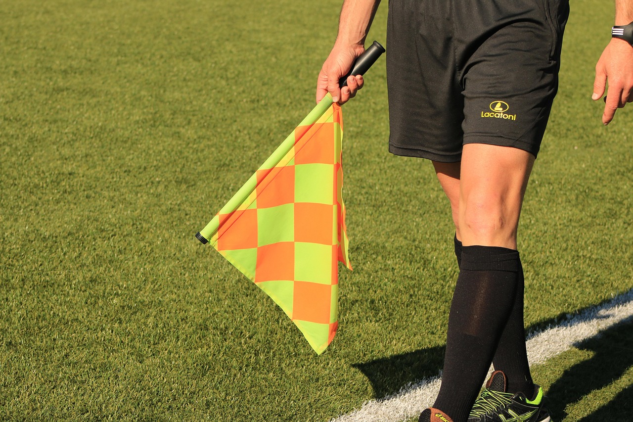 flag, lineman, referee, soccer match, field, sport, football, lawn, match, soccer field, game, team, move, referee, referee, referee, referee, referee