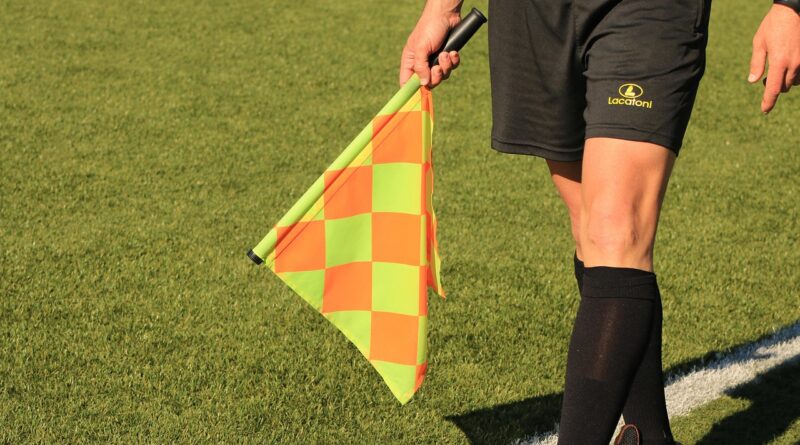 flag, lineman, referee, soccer match, field, sport, football, lawn, match, soccer field, game, team, move, referee, referee, referee, referee, referee